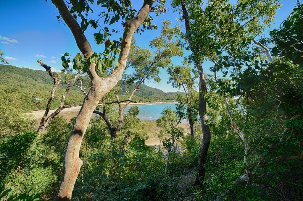 Thala Beach Nature Reserve Port Douglas Exterior foto