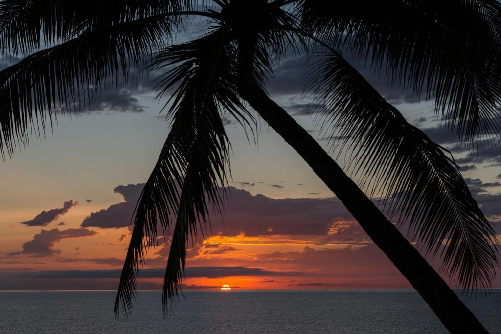 Thala Beach Nature Reserve Port Douglas Exterior foto