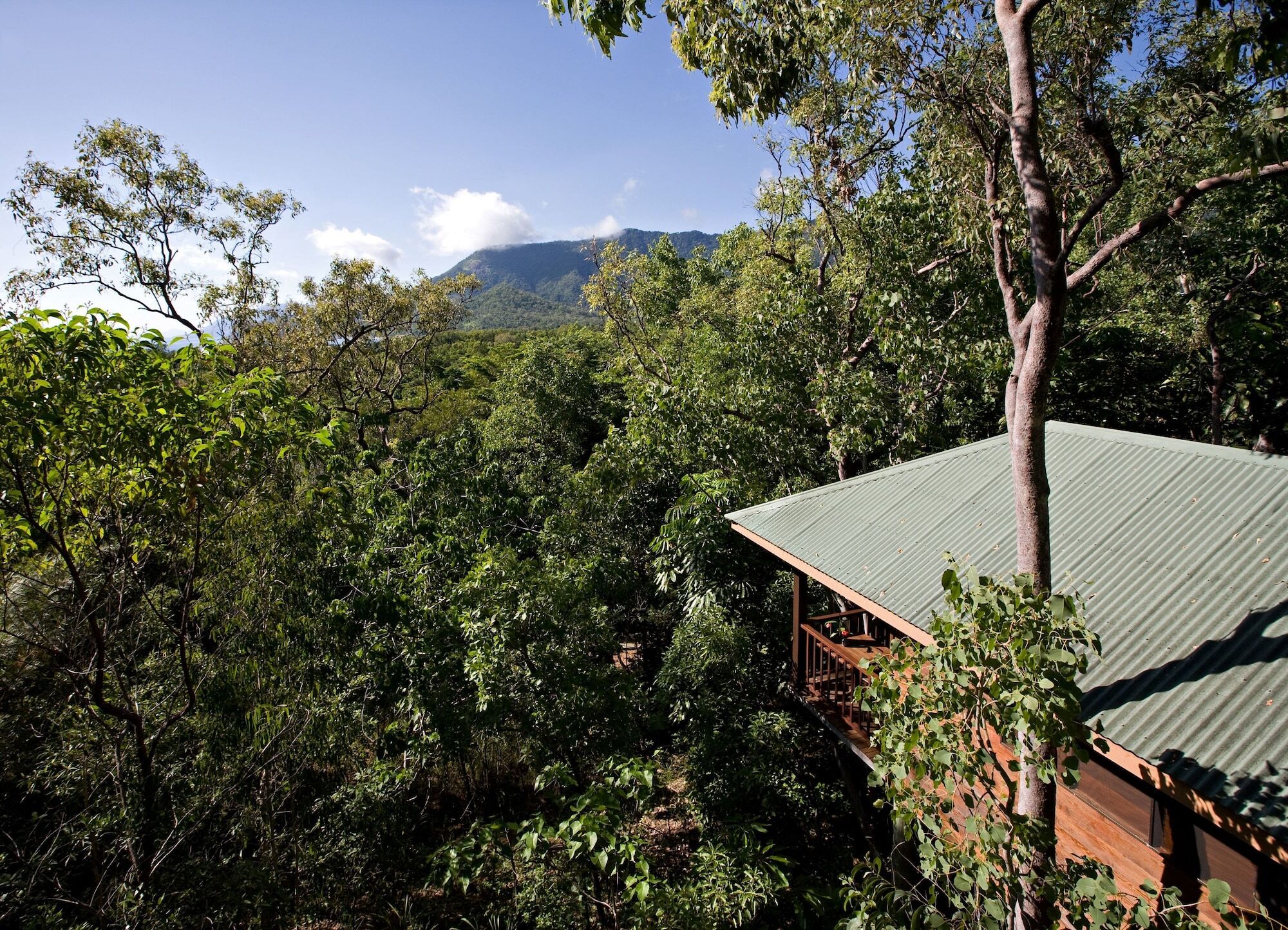 Thala Beach Nature Reserve Port Douglas Exterior foto